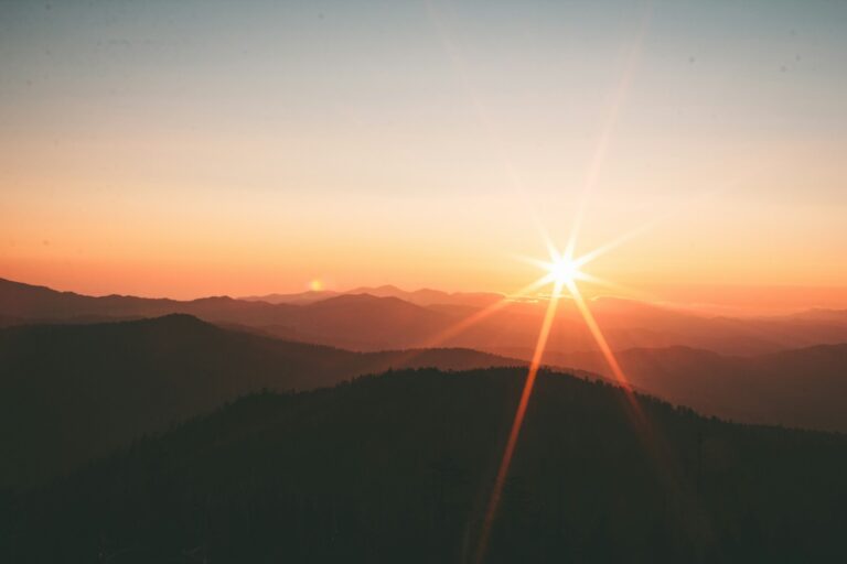 Humanity in God’s eternal plan